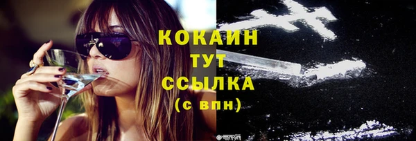 крисы Абаза