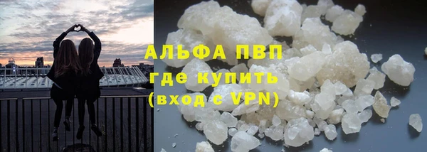 крисы Абаза