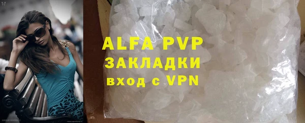 крисы Абаза