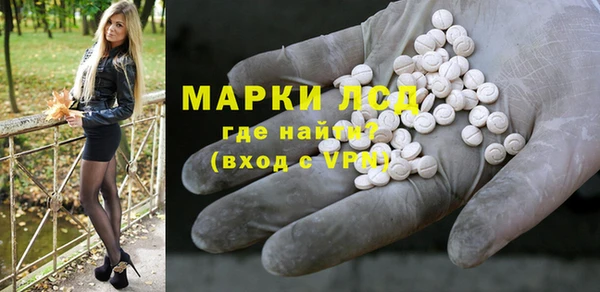 крисы Абаза