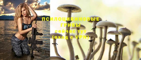 хмурый Семилуки