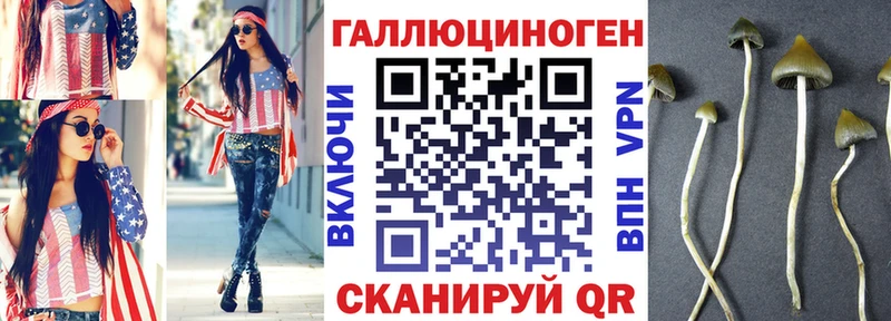 наркошоп  Нижняя Тура  Псилоцибиновые грибы мицелий 